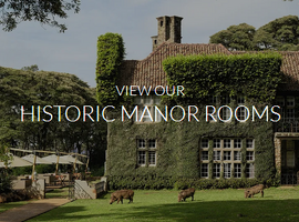 GIRAFFE MANOR